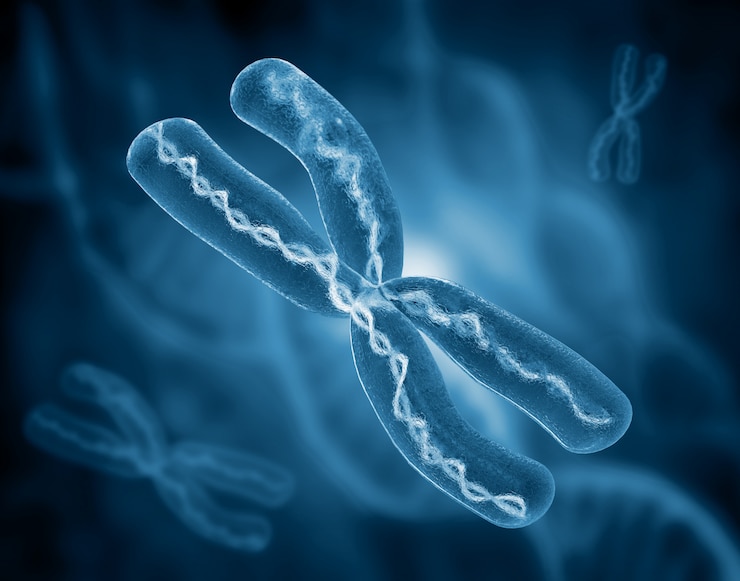 How Telomere Length Tests Can Predict Your Longevity?