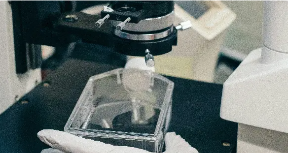 Why Life Sciences Should Exempt Tariffs Sjbn